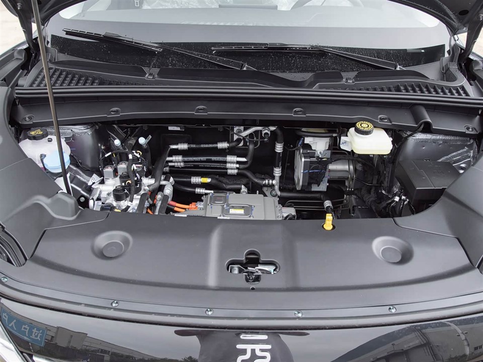 Yuan UP 2025 301km Pilot Model best