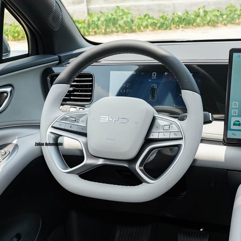 Byd Hellion 06 New Energy 2025 EV 520 Leading Edition high quality