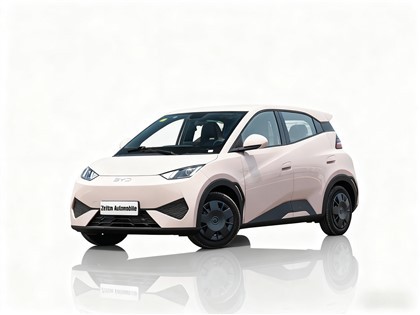 Seagull 2025 Smart Driving Edition 305km Vitality Edition