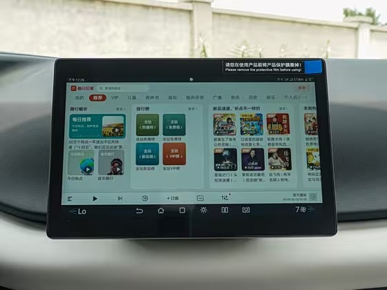 Yuan UP 2025 301km Pilot Model high quality