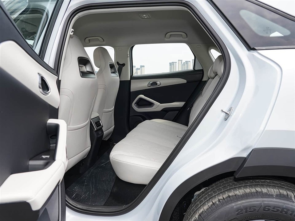 Yuan UP 2025 301km Pilot Model price