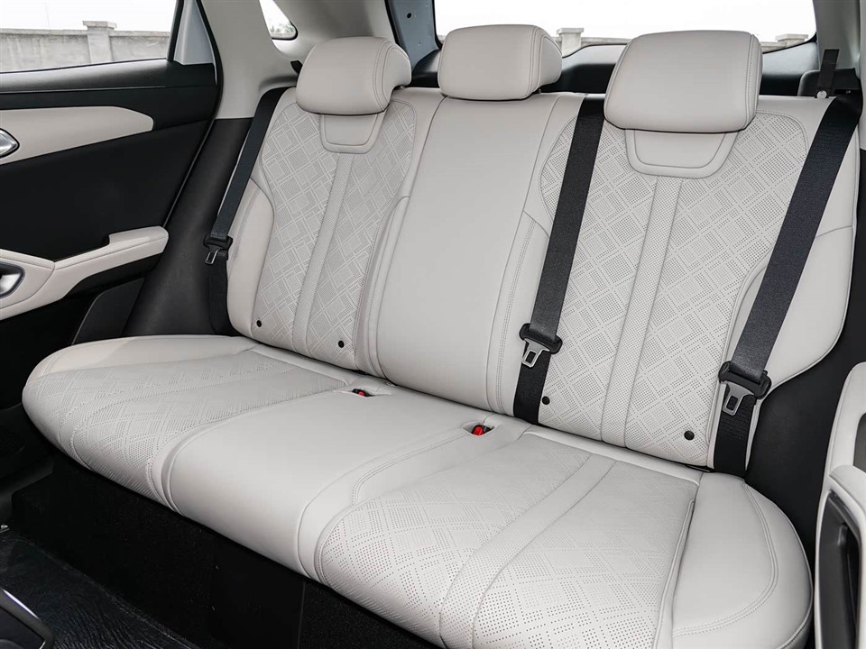 Yuan UP 2025 301km Pilot Model manufacturers